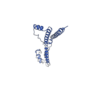 22881_7khw_r_v1-2
Cryo-EM structure of enteropathogenic Escherichia coli type III secretion system EspA filament
