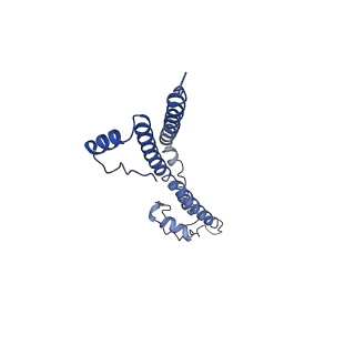 22881_7khw_s_v1-2
Cryo-EM structure of enteropathogenic Escherichia coli type III secretion system EspA filament