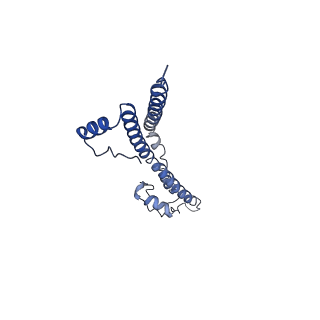 22881_7khw_s_v1-3
Cryo-EM structure of enteropathogenic Escherichia coli type III secretion system EspA filament