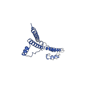 22881_7khw_t_v1-2
Cryo-EM structure of enteropathogenic Escherichia coli type III secretion system EspA filament