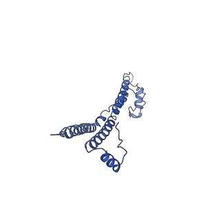 22881_7khw_v_v1-3
Cryo-EM structure of enteropathogenic Escherichia coli type III secretion system EspA filament