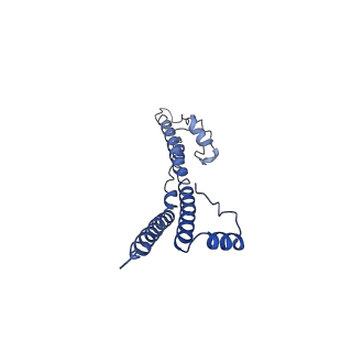 22881_7khw_w_v1-2
Cryo-EM structure of enteropathogenic Escherichia coli type III secretion system EspA filament