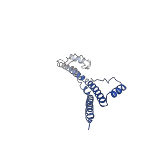 22881_7khw_x_v1-2
Cryo-EM structure of enteropathogenic Escherichia coli type III secretion system EspA filament