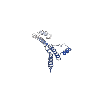 22881_7khw_x_v1-3
Cryo-EM structure of enteropathogenic Escherichia coli type III secretion system EspA filament