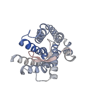 37236_8kh4_A_v1-0
Cryo-EM structure of the GPR161-Gs complex