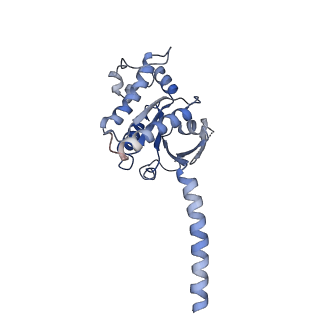 37236_8kh4_B_v1-0
Cryo-EM structure of the GPR161-Gs complex