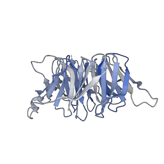 37236_8kh4_C_v1-0
Cryo-EM structure of the GPR161-Gs complex