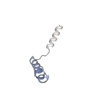 37236_8kh4_D_v1-0
Cryo-EM structure of the GPR161-Gs complex