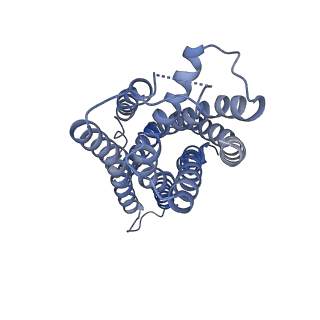 37237_8kh5_A_v1-0
Cryo-EM structure of the GPR174-Gs complex bound to endogenous lysoPS