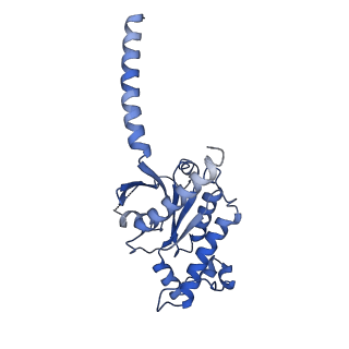37237_8kh5_B_v1-0
Cryo-EM structure of the GPR174-Gs complex bound to endogenous lysoPS