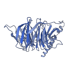 37237_8kh5_C_v1-0
Cryo-EM structure of the GPR174-Gs complex bound to endogenous lysoPS