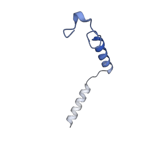 37237_8kh5_D_v1-0
Cryo-EM structure of the GPR174-Gs complex bound to endogenous lysoPS