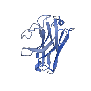 37237_8kh5_E_v1-0
Cryo-EM structure of the GPR174-Gs complex bound to endogenous lysoPS