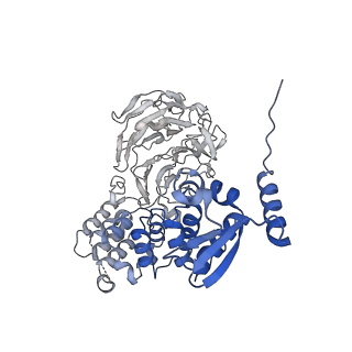 37247_8khp_A_v1-0
CULLIN3-KLHL22-RBX1 E3 ligase