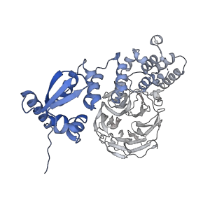 37247_8khp_B_v1-0
CULLIN3-KLHL22-RBX1 E3 ligase