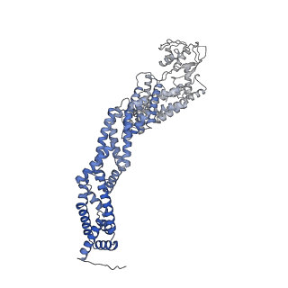 37247_8khp_C_v1-0
CULLIN3-KLHL22-RBX1 E3 ligase