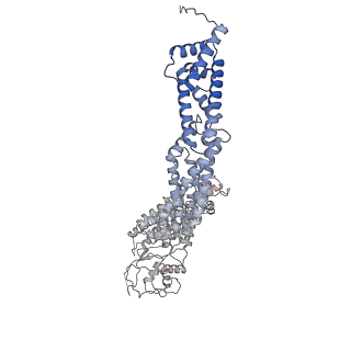 37247_8khp_D_v1-0
CULLIN3-KLHL22-RBX1 E3 ligase