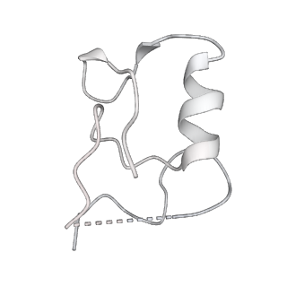 37247_8khp_E_v1-0
CULLIN3-KLHL22-RBX1 E3 ligase