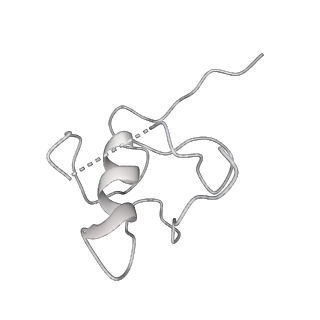 37247_8khp_F_v1-0
CULLIN3-KLHL22-RBX1 E3 ligase