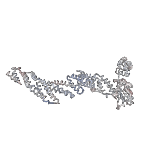 4021_5khu_N_v1-0
Model of human Anaphase-promoting complex/Cyclosome (APC15 deletion mutant), in complex with the Mitotic checkpoint complex (APC/C-CDC20-MCC) based on cryo EM data at 4.8 Angstrom resolution