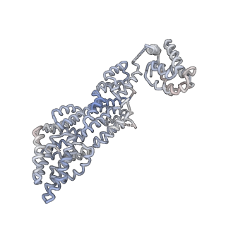 4021_5khu_O_v1-0
Model of human Anaphase-promoting complex/Cyclosome (APC15 deletion mutant), in complex with the Mitotic checkpoint complex (APC/C-CDC20-MCC) based on cryo EM data at 4.8 Angstrom resolution