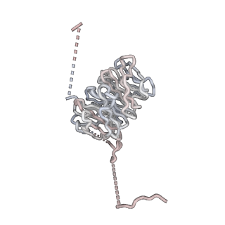 4021_5khu_S_v1-1
Model of human Anaphase-promoting complex/Cyclosome (APC15 deletion mutant), in complex with the Mitotic checkpoint complex (APC/C-CDC20-MCC) based on cryo EM data at 4.8 Angstrom resolution