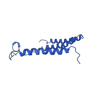 9989_6khi_C_v1-1
Supercomplex for cylic electron transport in cyanobacteria