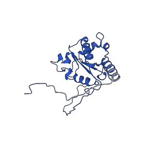 9989_6khi_K_v1-1
Supercomplex for cylic electron transport in cyanobacteria