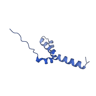 9989_6khi_L_v1-1
Supercomplex for cylic electron transport in cyanobacteria