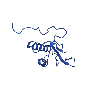 9989_6khi_M_v1-1
Supercomplex for cylic electron transport in cyanobacteria