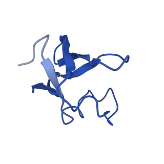 9989_6khi_O_v1-1
Supercomplex for cylic electron transport in cyanobacteria