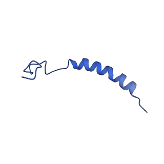 9989_6khi_P_v1-1
Supercomplex for cylic electron transport in cyanobacteria