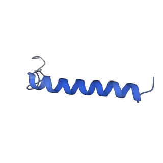 9989_6khi_Q_v1-1
Supercomplex for cylic electron transport in cyanobacteria