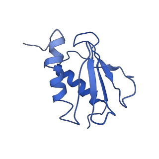 9989_6khi_V_v1-1
Supercomplex for cylic electron transport in cyanobacteria