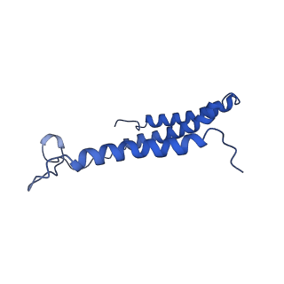 9990_6khj_C_v1-1
Supercomplex for electron transfer