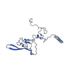 9990_6khj_I_v1-1
Supercomplex for electron transfer