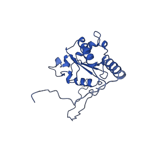 9990_6khj_K_v1-1
Supercomplex for electron transfer