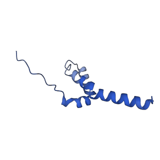 9990_6khj_L_v1-1
Supercomplex for electron transfer