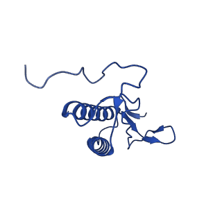 9990_6khj_M_v1-1
Supercomplex for electron transfer