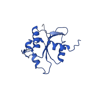 9990_6khj_N_v1-1
Supercomplex for electron transfer