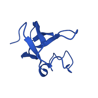 9990_6khj_O_v1-1
Supercomplex for electron transfer