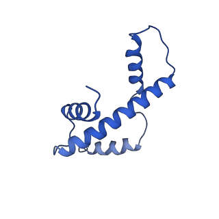 0693_6kiw_A_v1-3
Cryo-EM structure of human MLL3-ubNCP complex (4.0 angstrom)