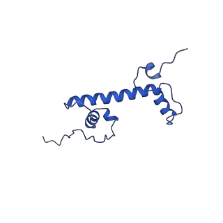 0693_6kiw_C_v1-3
Cryo-EM structure of human MLL3-ubNCP complex (4.0 angstrom)
