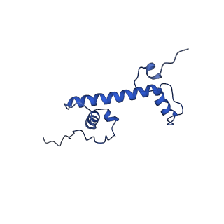 0693_6kiw_C_v1-4
Cryo-EM structure of human MLL3-ubNCP complex (4.0 angstrom)