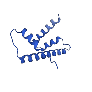 0693_6kiw_D_v1-3
Cryo-EM structure of human MLL3-ubNCP complex (4.0 angstrom)