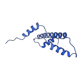 0693_6kiw_E_v1-3
Cryo-EM structure of human MLL3-ubNCP complex (4.0 angstrom)