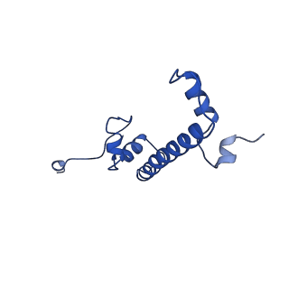 0693_6kiw_G_v1-3
Cryo-EM structure of human MLL3-ubNCP complex (4.0 angstrom)
