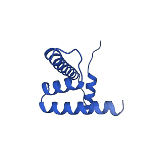 0693_6kiw_H_v1-4
Cryo-EM structure of human MLL3-ubNCP complex (4.0 angstrom)