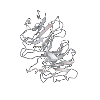 0693_6kiw_R_v1-3
Cryo-EM structure of human MLL3-ubNCP complex (4.0 angstrom)