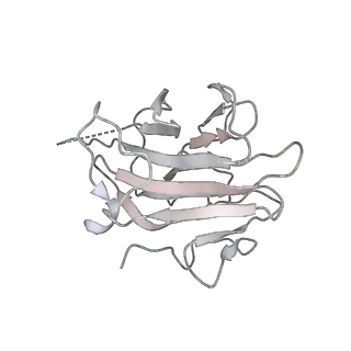 0693_6kiw_T_v1-3
Cryo-EM structure of human MLL3-ubNCP complex (4.0 angstrom)